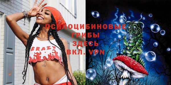 mix Бикин