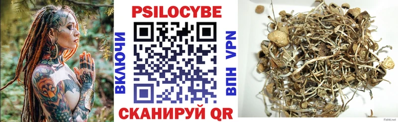 Псилоцибиновые грибы Psilocybine cubensis  Владикавказ 