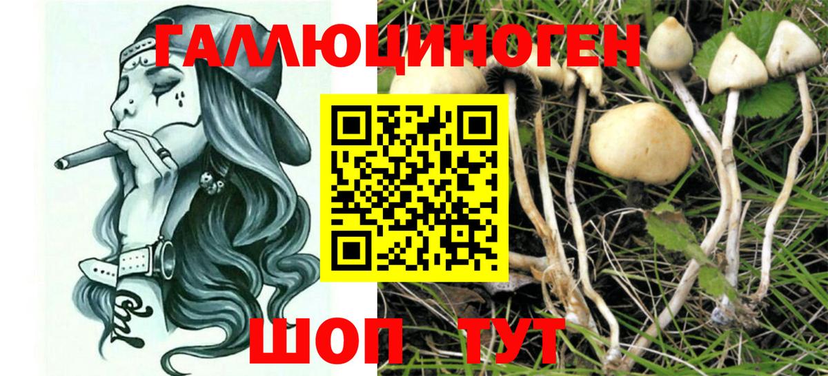 Псилоцибиновые грибы мухоморы Владикавказ