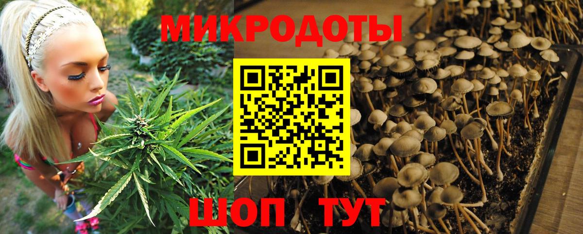Владикавказ  Псилоцибиновые грибы Psilocybe  Вход с VPN  Псилоцибиновые грибы ЛСД 