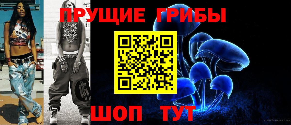 Псилоцибиновые грибы MAGIC MUSHROOMS Владикавказ